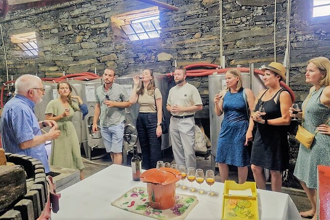 Douro Valley-Expert Guide-Boat-Lunch-Tastings-Offer wine bottle - The first big view at São Cristóvão do Douro