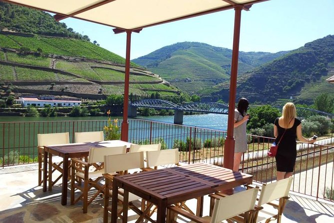 Douro Valley: Historical Sites, Wine Experience, Lunch & Cruise - The N222 into the wine country