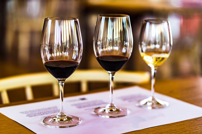 Douro Valley: Historical Sites, Wine Experience, Lunch & Cruise - Walking through a vineyard near Pinhão