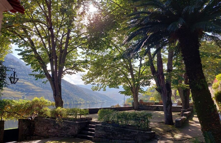 Douro Valley: (Pinhão) Quinta da Foz - Tour&Tasting 5 WINES - Key points to know