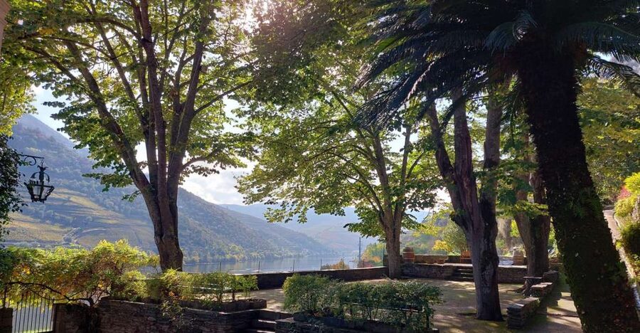 Douro Valley: (Pinhão) Quinta da Foz - Tour&Tasting 5 WINES - Is $41 good value?