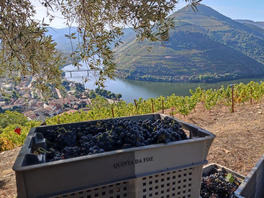 Douro Valley: (Pinhão) Quinta da Foz - Tour&Tasting 5 WINES - My call: a compact, worthwhile Douro stop