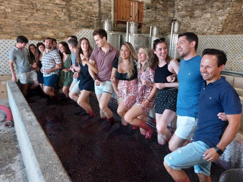 Douro Valley: (Pinhão) Quinta da Foz - Tour&Tasting 5 WINES - Starting in the winery and production area