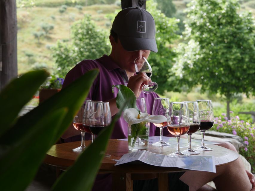 Douro Valley: Premium Port Tasting Winery Tour & River Views - Key points at a glance