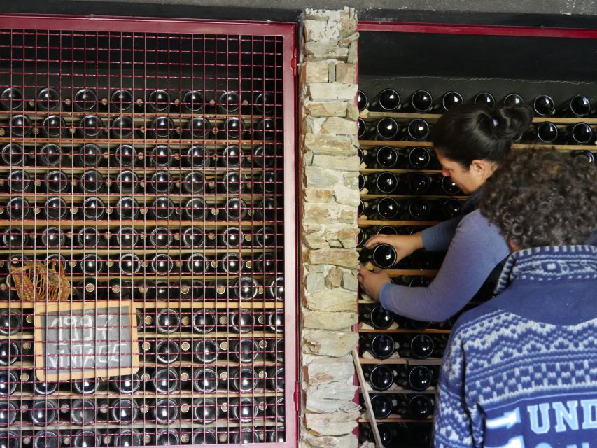 Douro Valley: Premium Port Tasting Winery Tour & River Views - A short winery visit with plenty packed in