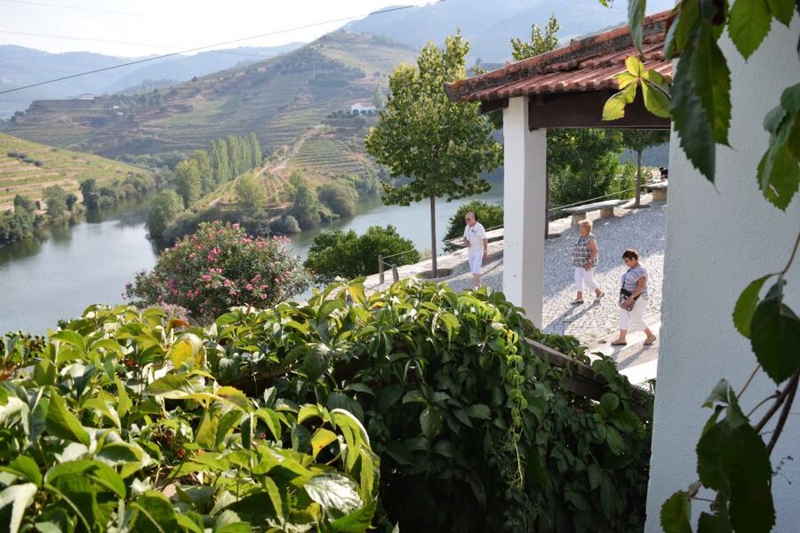 Douro Valley: Premium Port Tasting Winery Tour & River Views - The old lagares and the foot-treading tradition