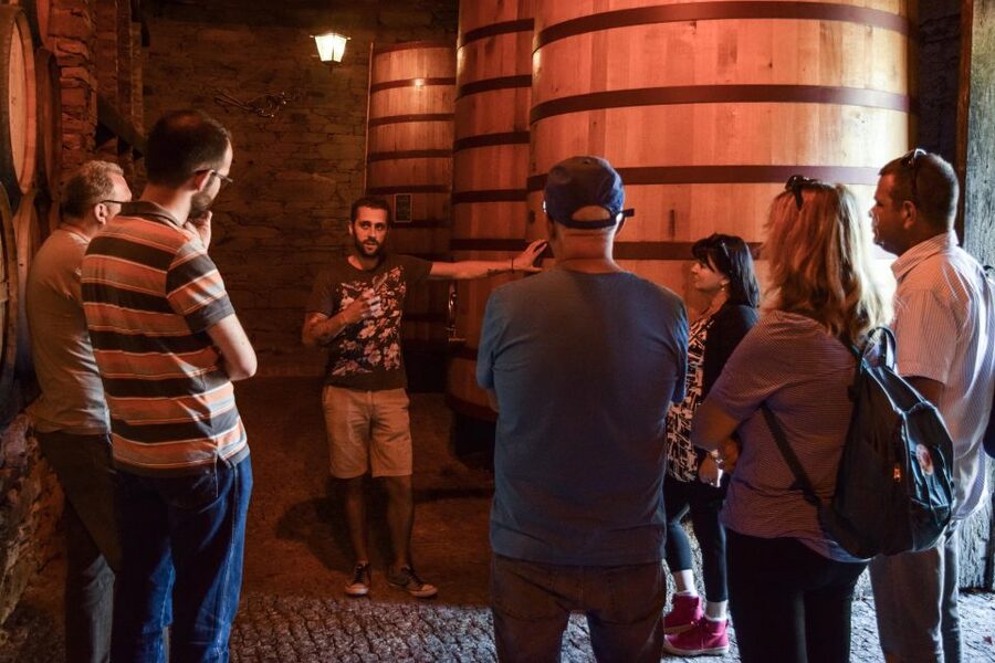 Douro Valley: Premium Port Tasting Winery Tour & River Views - Three Ports or three DOC wines