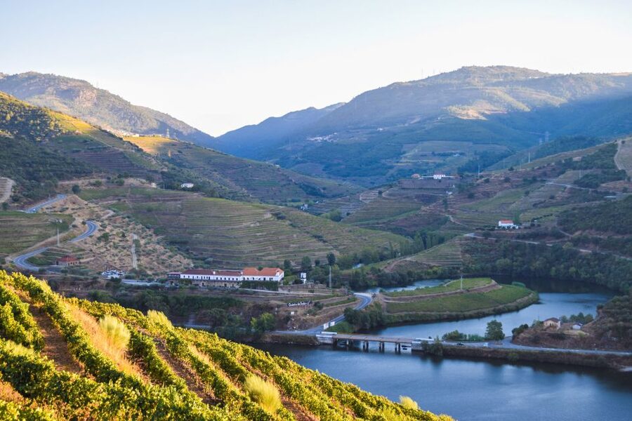 Douro Valley: Quinta do Tedo Wine Experience with Picnic - Key points to know before you book