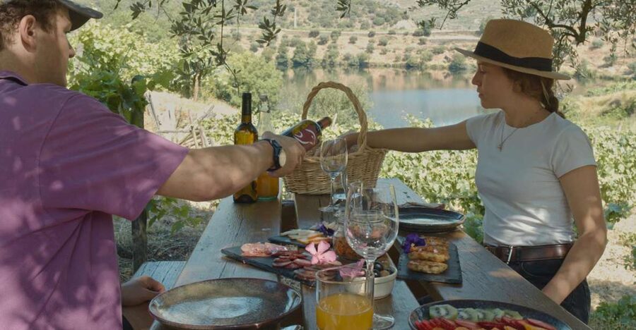 Douro Valley: Quinta do Tedo Wine Experience with Picnic - What the three-hour schedule feels like