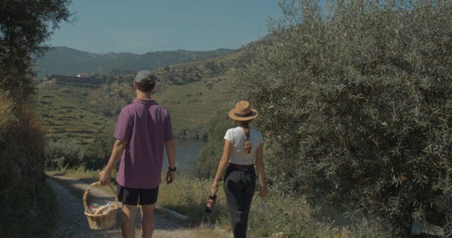 Douro Valley: Quinta do Tedo Wine Experience with Picnic - Heat, rain, and the backup plan