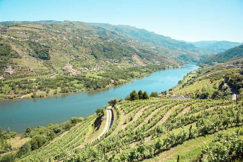 Douro Valley: Real Small-Group, Wine Tasting, Lunch & Boat - The 1.5-hour ride from Porto