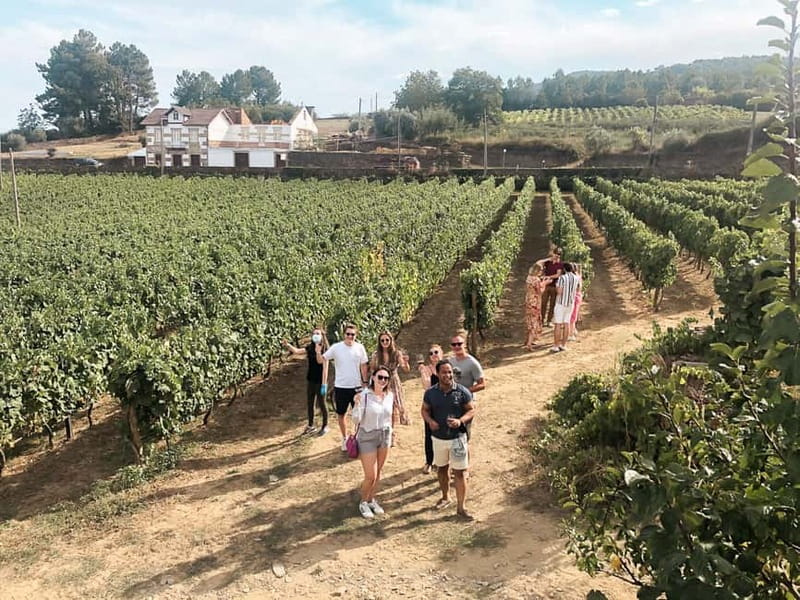 Douro Valley: Real Small-Group, Wine Tasting, Lunch & Boat - Pinhão and the one-hour river cruise