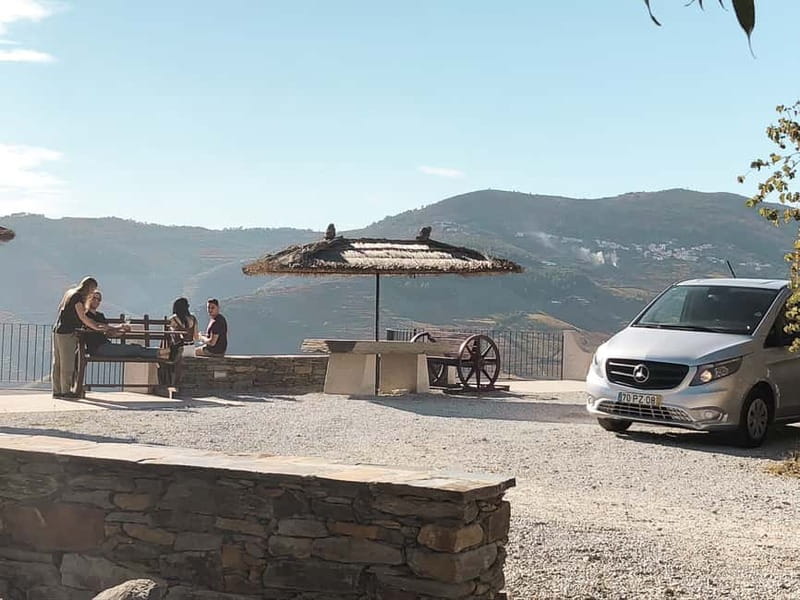 Douro Valley: Real Small-Group, Wine Tasting, Lunch & Boat - Lunch with meat, fish, or a vegetarian menu