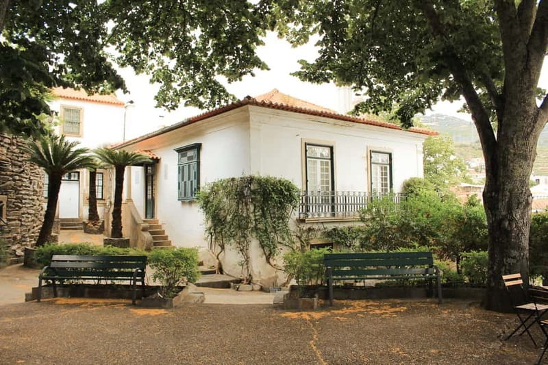 Douro Valley: Real Small-Group, Wine Tasting, Lunch & Boat - Who should book this tour