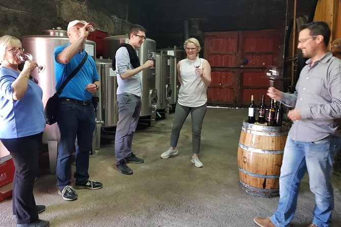 Douro Valley Tour: 2 Vineyard Visits, River Cruise, Winery Lunch - Why this Douro Valley day trip works