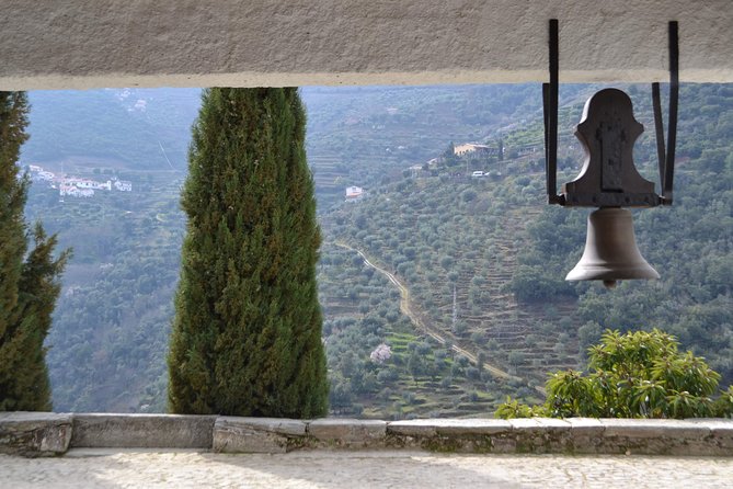 Douro Valley Tour: 2 Vineyard Visits, River Cruise, Winery Lunch - The second tasting and the port cellar