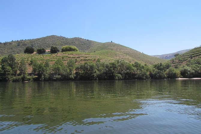 Douro Valley Tour: 2 Vineyard Visits, River Cruise, Winery Lunch - Leaving Porto for the hills near Lamego