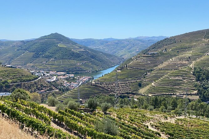 Douro Valley Tour - 3 Wine tastings, Lunch & river Cruise - Is $149.95 a fair price?