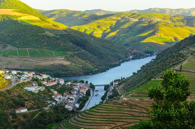 Douro Valley Tour: Wine Tasting, Cruise and Lunch from Porto - Santa Marta de Penaguião and a second taste of Port
