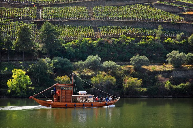 Douro Valley Tour: Wine Tasting, Cruise and Lunch from Porto - The Douro River cruise