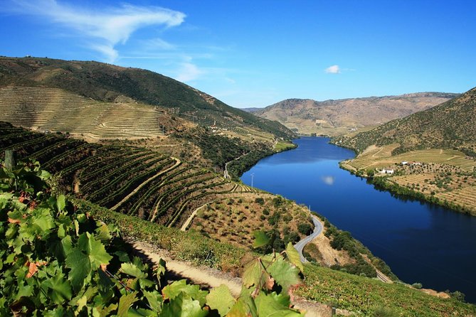 Douro Valley Wine Tour: 3 Vineyard Visits, Wine Tastings, Lunch - Why this Douro day trip works so well