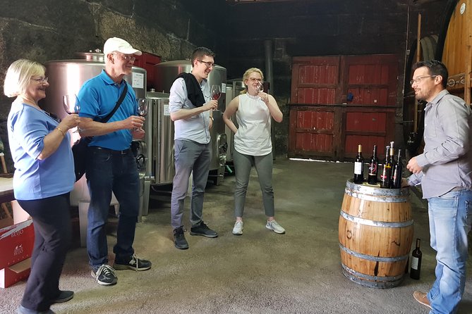 Douro Valley Wine Tour: 3 Vineyard Visits, Wine Tastings, Lunch - Pinhão views and lunch near Sabrosa