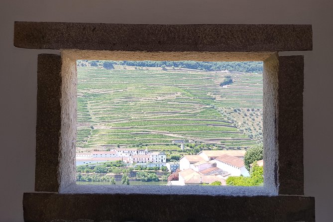 Douro Valley Wine Tour: 3 Vineyard Visits, Wine Tastings, Lunch - Leaving Porto early for Lamego