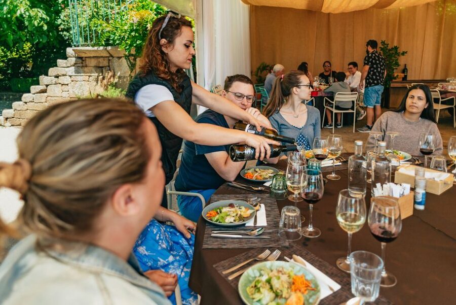 Douro Valley: Wine Tour with Lunch, Tastings & River Cruise - Why the Douro Valley makes a strong day trip from Porto