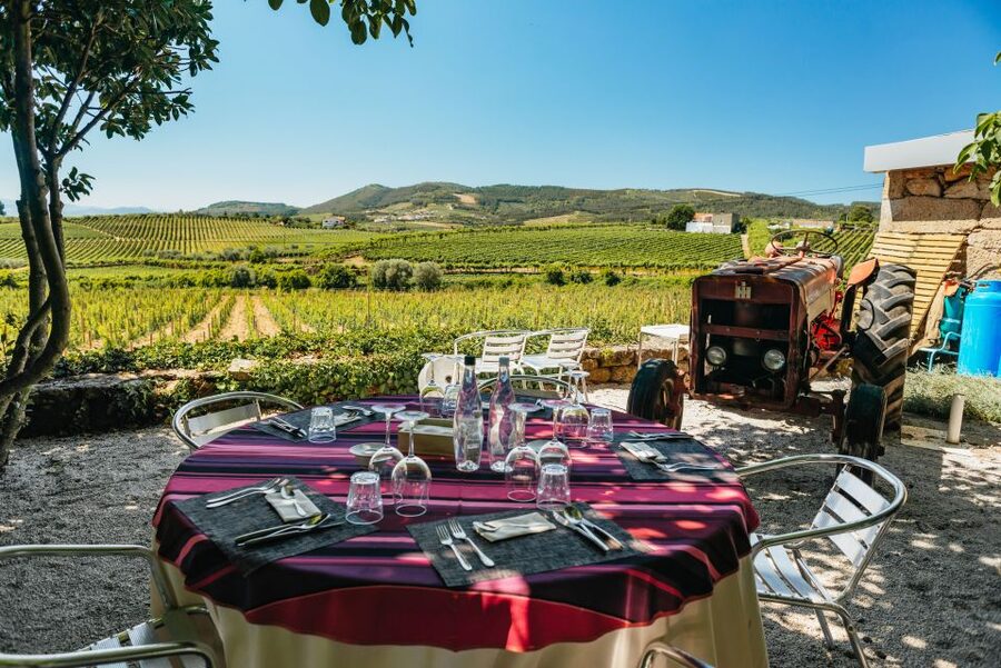 Douro Valley: Wine Tour with Lunch, Tastings & River Cruise - One hour on the Douro River