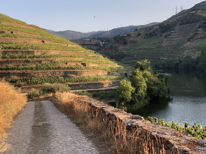 Douro Valley: Winery Tour at Quinta do Tedo and Tastings - The five-minute shop stop and the short overall pace