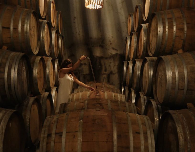 Douro Valley: Winery Tour at Quinta do Tedo and Tastings - Who gets the most from this Douro winery visit