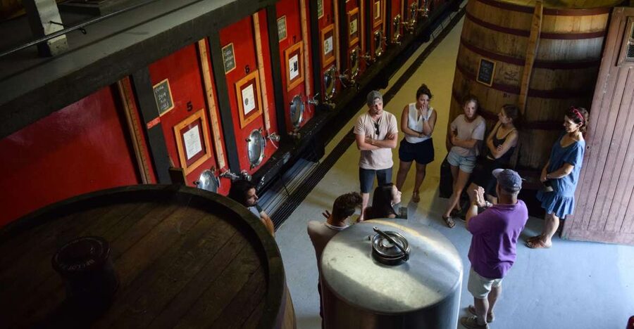 Douro Valley: Winery Tour at Quinta do Tedo and Tastings - From foot-treading lagares to 18th-century cellars