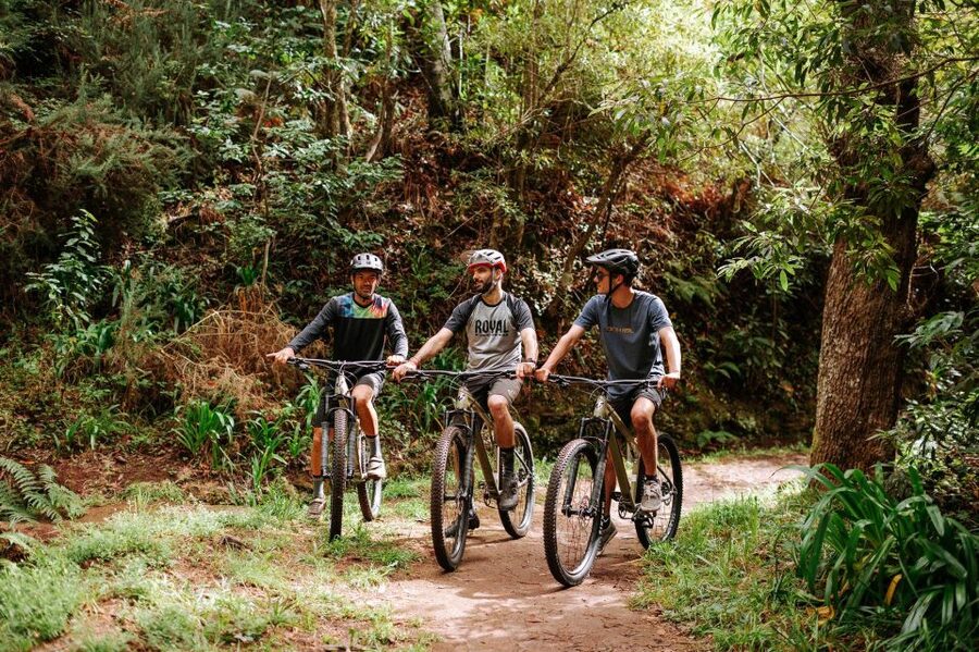 E-Bike Guided Tour - Mountain biking experience - Why Madeira’s levadas make such good bike routes