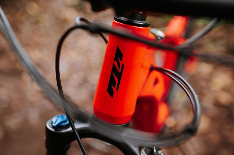 E-Bike Guided Tour - Mountain biking experience - Is the $123 price fair?