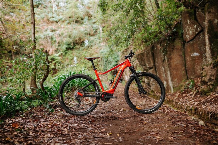 E-Bike Guided Tour - Mountain biking experience - From Funchal to Camacha by shuttle