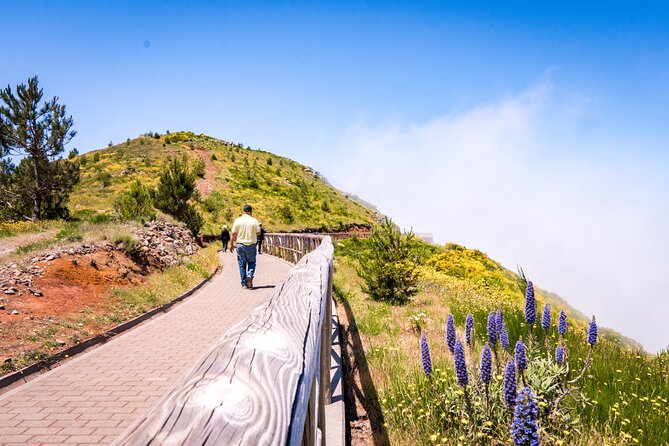 East of Madeira | Full Day 4x4 Tour - Porto da Cruz, rum, and poncha