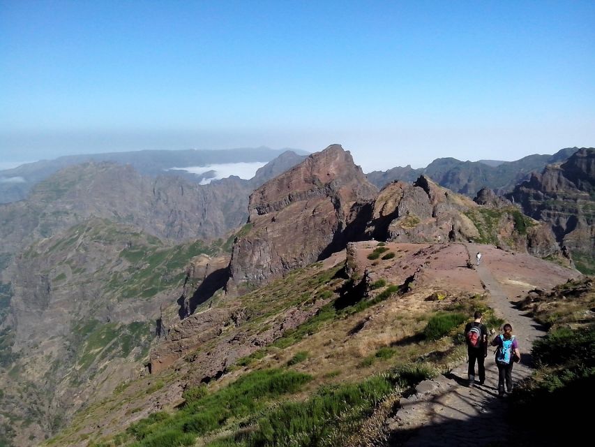 Eastern Madeira: Full-Day Tour with Rum Tasting - Why this eastern Madeira tour works so well