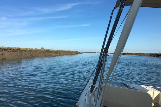 Eco Boat Tour in the Ria Formosa Lagoon from Faro - A quiet way into the Ria Formosa