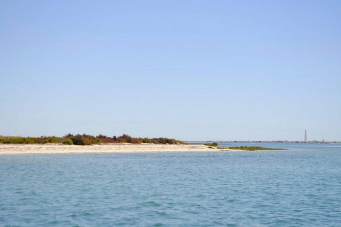 Eco Boat Tour in the Ria Formosa Lagoon from Faro - Faro old town at the end of the route