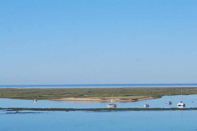 Eco Boat Tour in the Ria Formosa Lagoon from Faro - Is $30.23 a fair price?