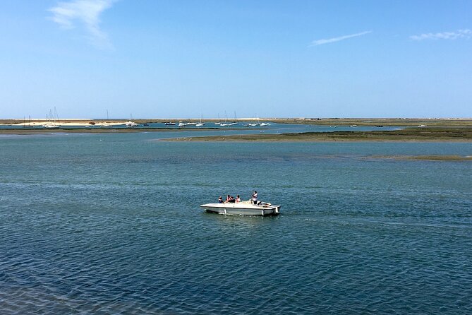 Eco Boat Tour in the Ria Formosa Lagoon from Faro - Who will enjoy this Faro boat trip?
