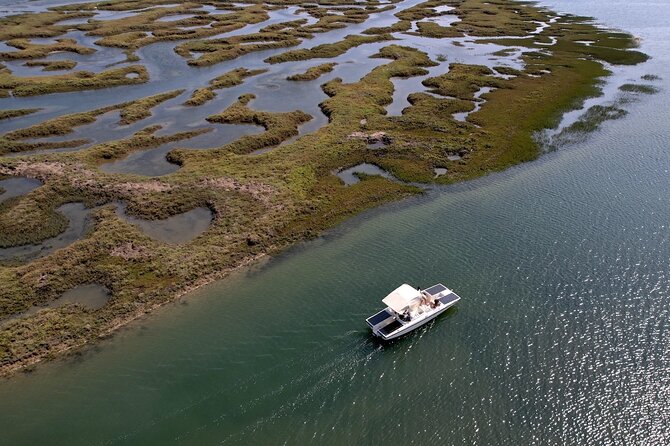 Eco Boat Tour in the Ria Formosa Lagoon from Faro - One hour through marshes, channels, and bird habitat