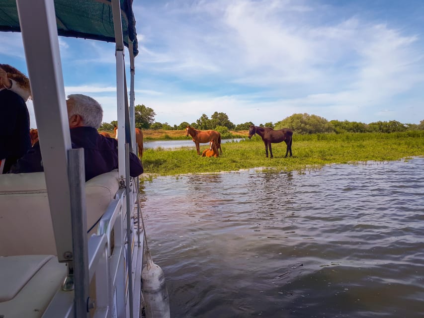 Escaroupim: 1 hour boat trip, guided tour - What $15 buys you