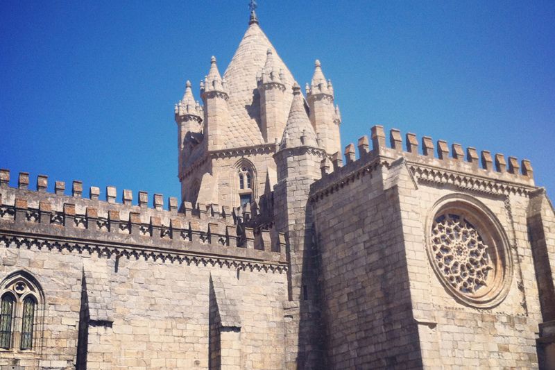 Évora and Megaliths Full-Day Tour from Lisbon - The cork stop that explains the Alentejo