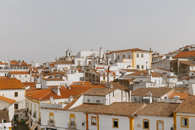 Évora, medieval village Monsaraz & Wine Tasting - Why this day works as a break from Lisbon
