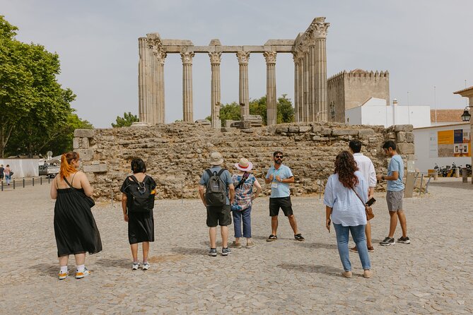Évora, medieval village Monsaraz & Wine Tasting - Who should book this Évora and Monsaraz trip?