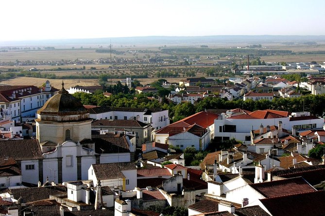 Évora Wine & Heritage Tour from Lisbon - Key points to know before booking