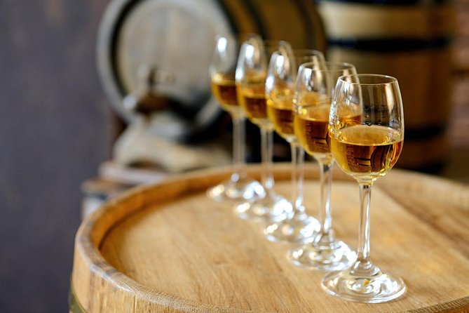 Évora Wine & Heritage Tour from Lisbon - Comfort, group size, and physical demands