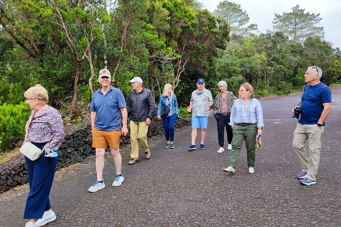 Faial Island: Full Day Tour – Nature and Local Culture - Group size, pickup, and timing