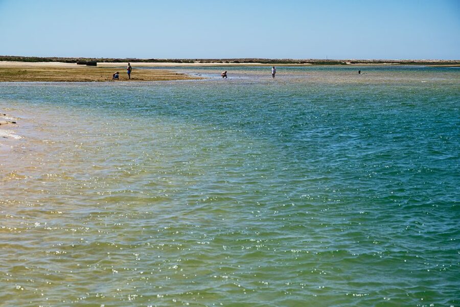 Faro: Deserta Island and Farol Island Catamaran Boat Trip - Should You Book the Faro Catamaran Trip?